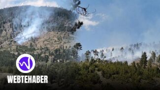 Konya'da Ormanlık Alanda Yangın Çıktı