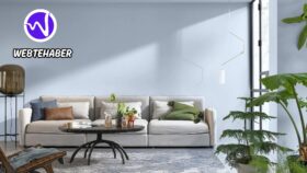 Marshall En Çok Tercih Edilen Renkler